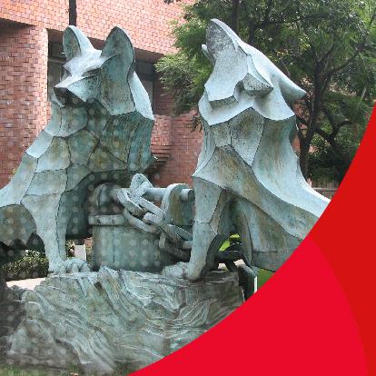 Programas académicos